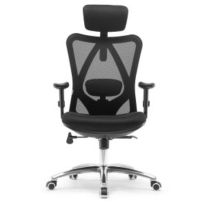 Duramont Ergonomic Office Chair